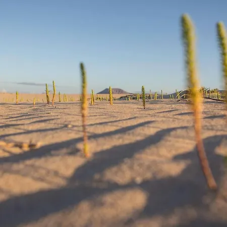 Na Pali Oasis Wifi&pool Irent Fuerteventura Corralejo