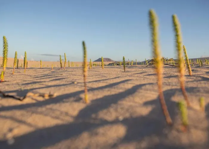 Na Pali Oasis Wifi And Pool Irent Fuerteventura 科拉雷侯